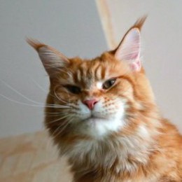 Йоанна
