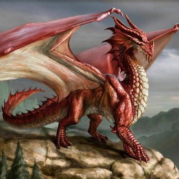 The Dragon