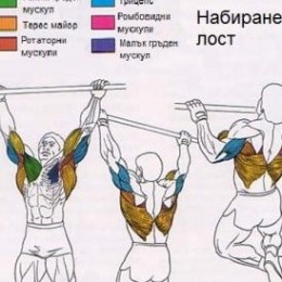 Julai Petkov