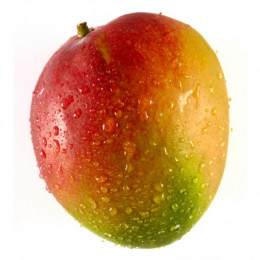 mango9999