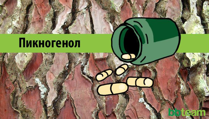 Пикногенол