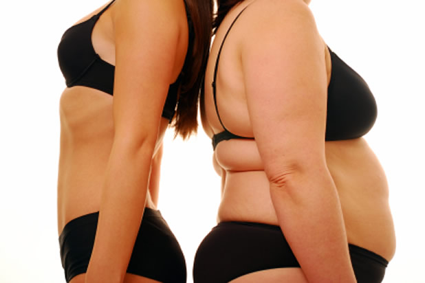 Ултимативна диета (Ultimate Diet) 2.0