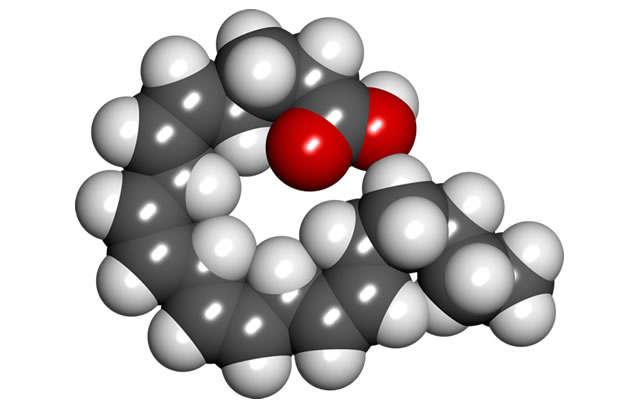 Арахидонова киселина (Arachidonic acid)