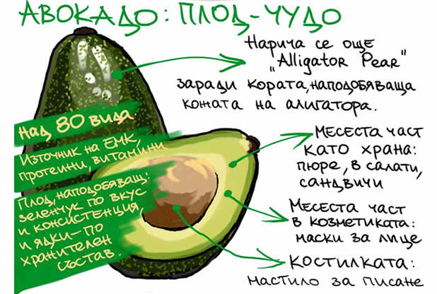 13 неща, които може би не знаете за авокадото