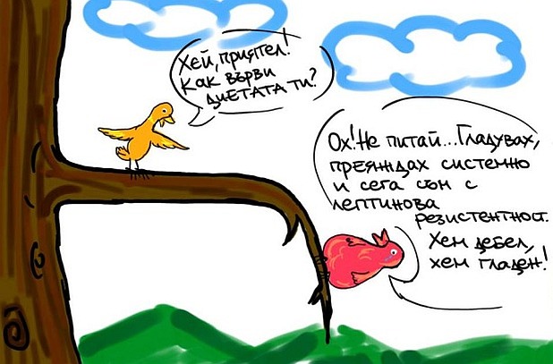 Лептин-и-грелин