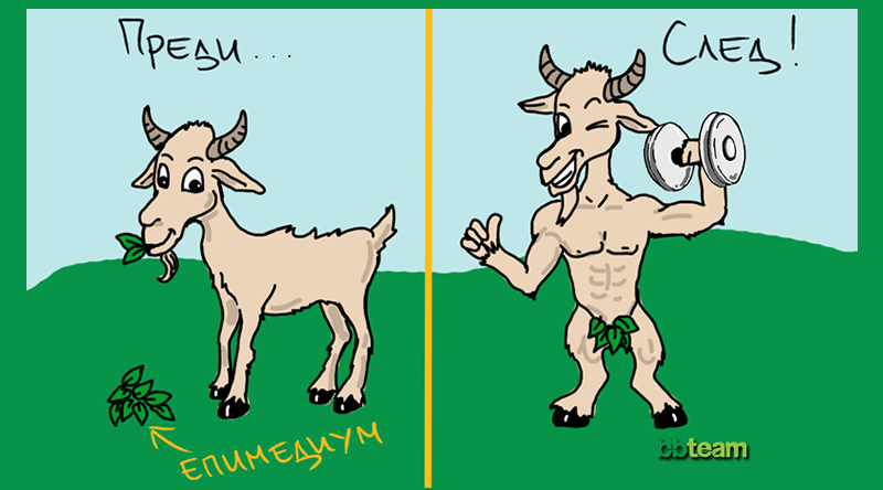 Епимедиум