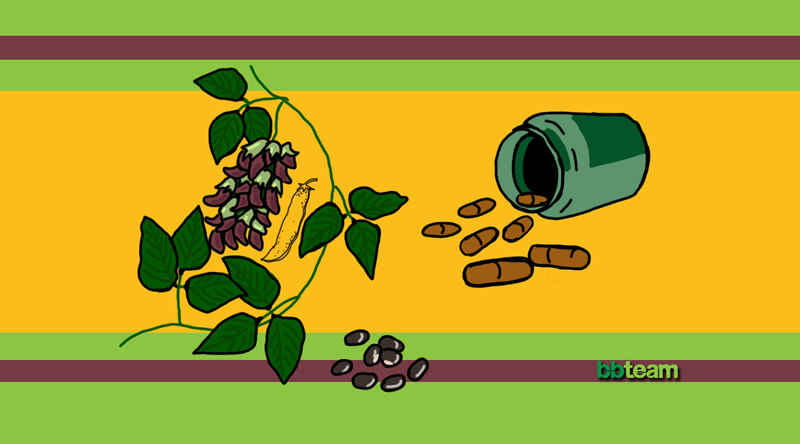 Кадифен боб (Mucuna pruriens)