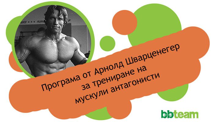 Програма от Арнолд за трениране на мускули антагонисти