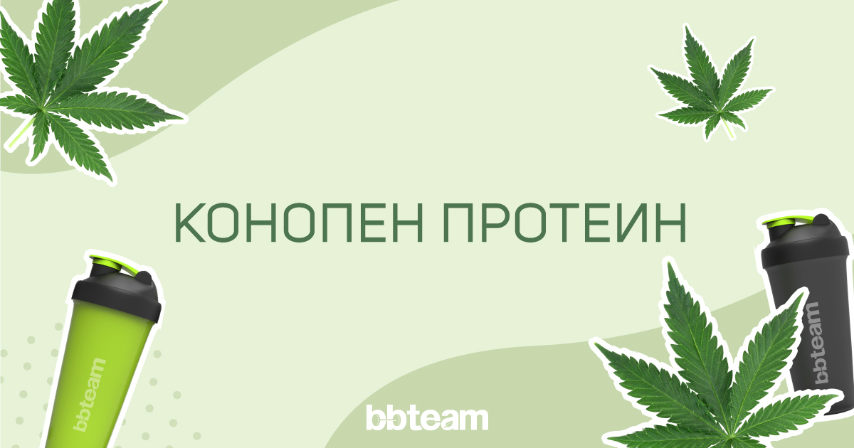 Конопен протеин – състав и прием