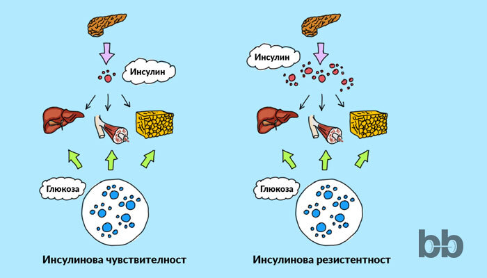 Добавки-за-подобряване-на-инсулиновата-чувствителност