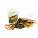 Lifefood пита