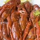 Морски раци