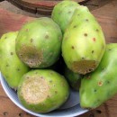 Кактус